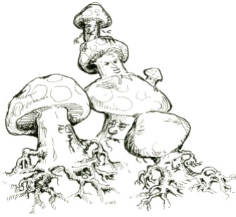 mushroom men
